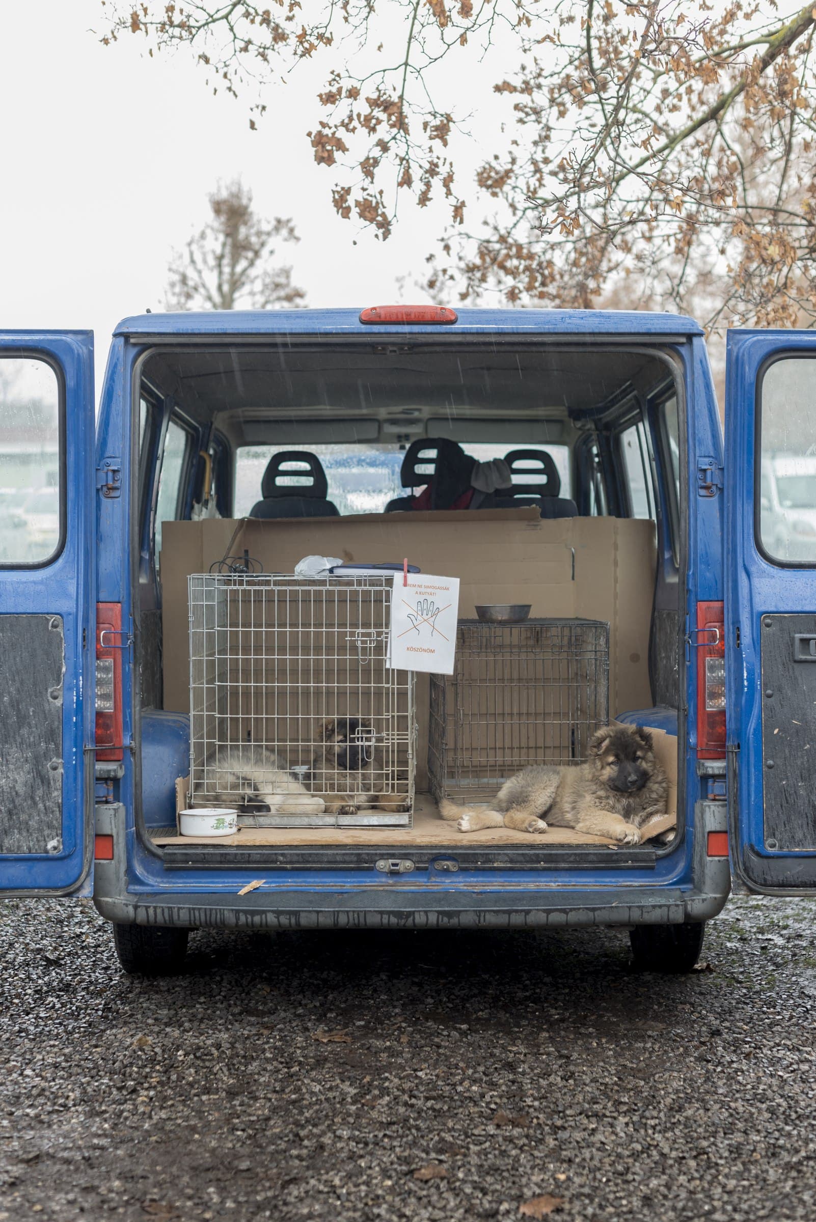 Mummy, can I have one?, exhibition photo 1