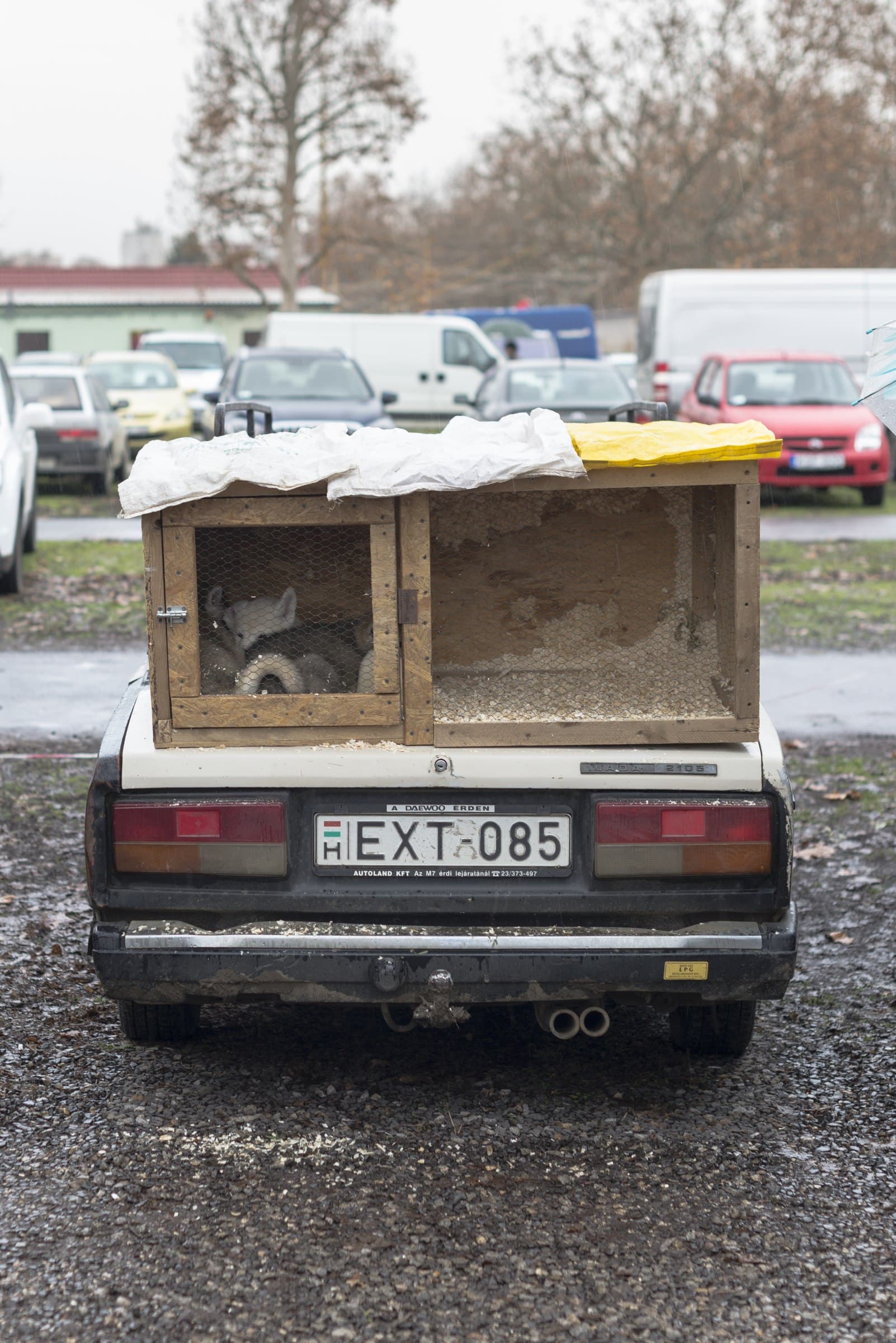 Mummy, can I have one?, exhibition photo 2